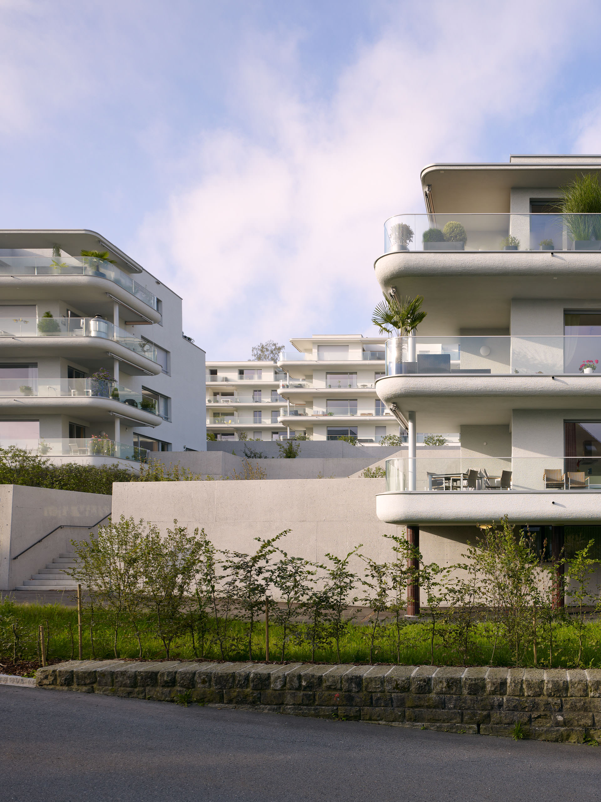 E11352 Alpa 029683 j2560